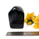 Black Onyx Free Forms