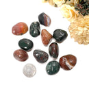 Bloodstone Tumble (Health and Immunity)