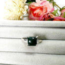 Bloodstone Adjustable Ring in Silver (Good Health) (1 pc)