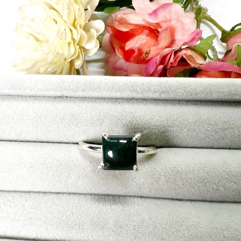 Bloodstone Adjustable Ring in Silver (Good Health) (1 pc)