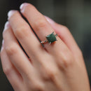 Bloodstone Adjustable Ring in Silver (Good Health) (1 pc)