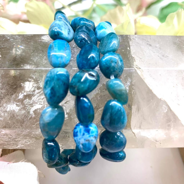 Blue Apatite Tumbled Stone Bracelet (Psychic Perception)