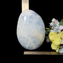 Blue Calcite Free Forms