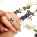 Blue Kyanite Adjustable Ring in Silver