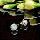 Blue Lace Agate Earrings in Silver (Calm Expression)