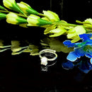 Blue Lace Agate Adjustable Rings in Silver