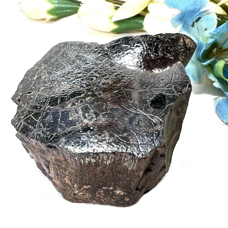 Botryoidal Hematite Specimen from Morocco (Stability)