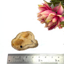 Botswana Agate Slice (Strength and Support)