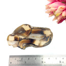 Botswana Agate Slice (Strength and Support)