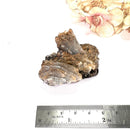 Brown Barite Mineral Specimen