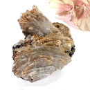 Brown Barite Mineral Specimen