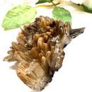 Brown Barite Mineral Specimen