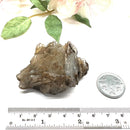 Brown Barite Mineral Specimen