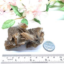 Brown Barite Mineral Specimen