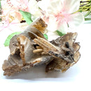 Brown Barite Mineral Specimen