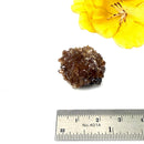 Brown Calcite Mineral Specimen (Memory & Learning)