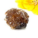 Brown Calcite Mineral Specimen (Memory & Learning)