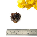 Brown Calcite Mineral Specimen (Memory & Learning)