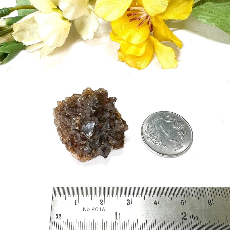 Brown Calcite Mineral Specimen (Memory & Learning)