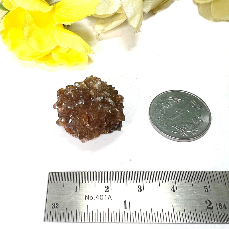 Brown Calcite Mineral Specimen (Memory & Learning)