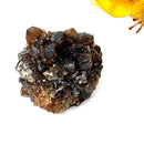 Brown Calcite Mineral Specimen (Memory & Learning)