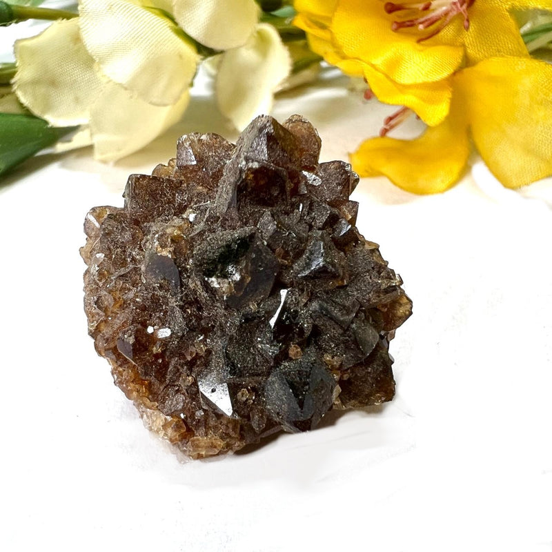 Brown Calcite Mineral Specimen (Memory & Learning)