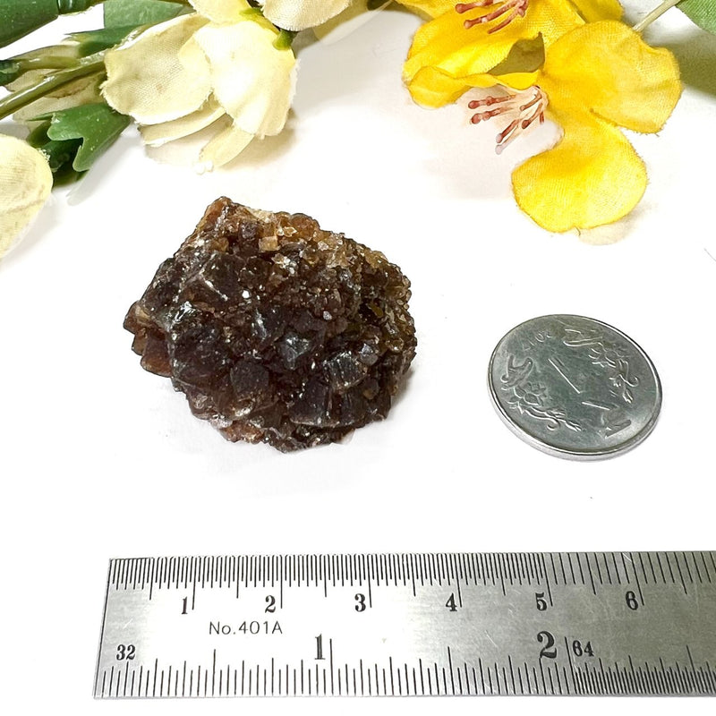 Brown Calcite Mineral Specimen (Memory & Learning)