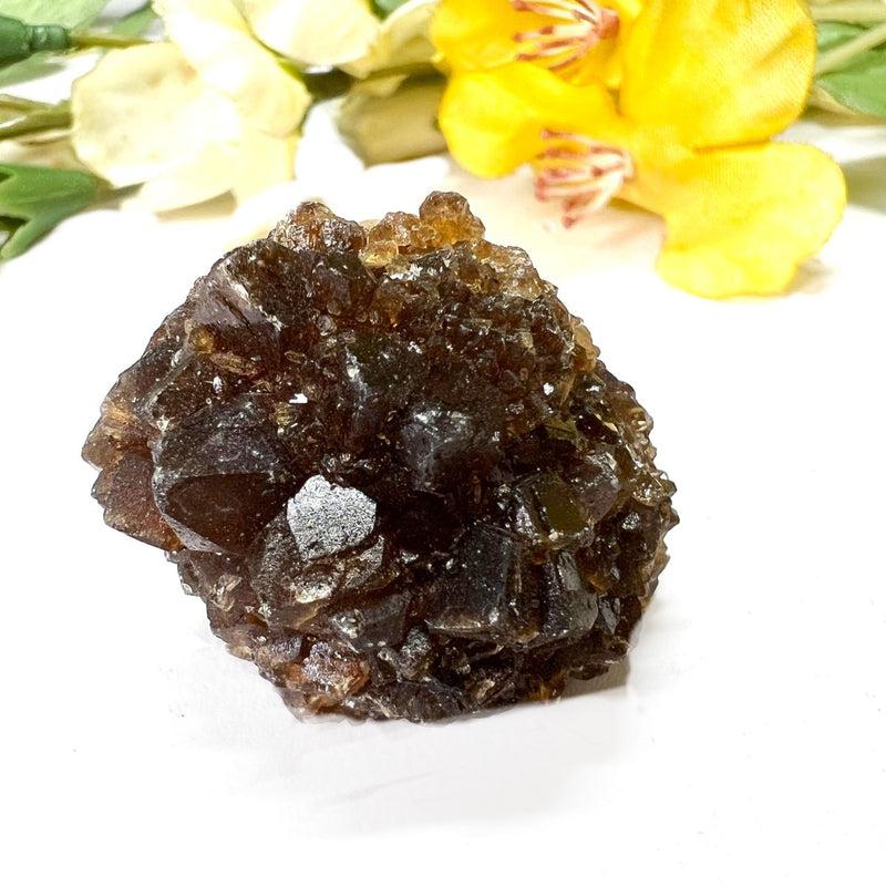 Brown Calcite Mineral Specimen (Memory & Learning)