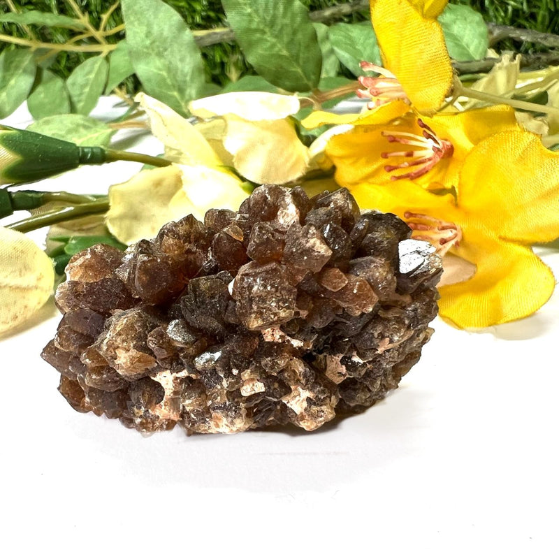 Brown Calcite Mineral Specimen (Memory & Learning)