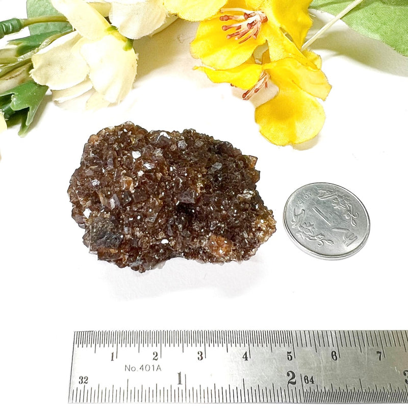 Brown Calcite Mineral Specimen (Memory & Learning)