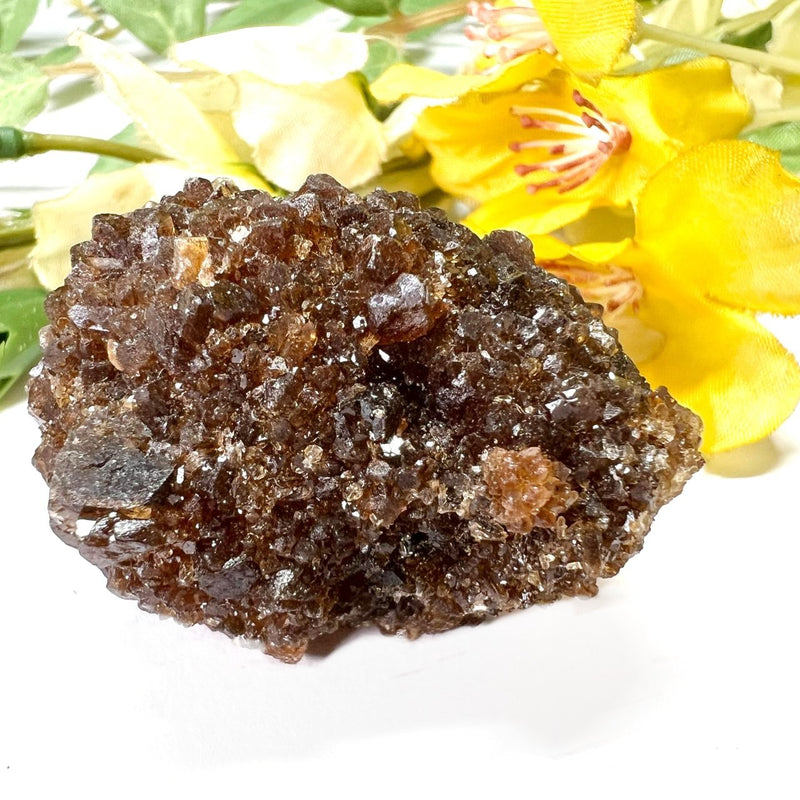 Brown Calcite Mineral Specimen (Memory & Learning)