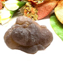 Brown Chalcedony Nodules Specimen from Morocco (Tap inner Potential)