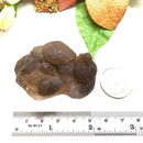 Brown Chalcedony Nodules Specimen from Morocco (Tap inner Potential)