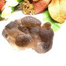 Brown Chalcedony Nodules Specimen from Morocco (Tap inner Potential)