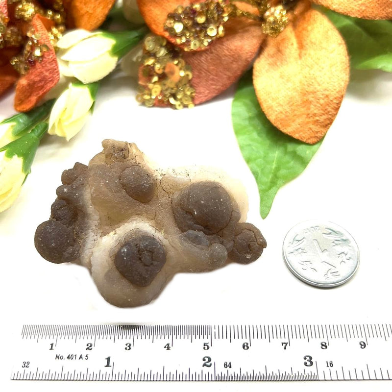 Brown Chalcedony Nodules Specimen from Morocco (Tap inner Potential)