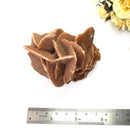 Brown Desert Rose Clusters