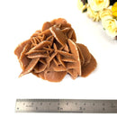 Brown Desert Rose Clusters