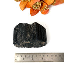 Elite Rough Black Tourmaline Medium Sized (Grounding & Protection)