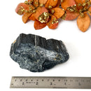 Elite Rough Black Tourmaline Medium Sized (Grounding & Protection)