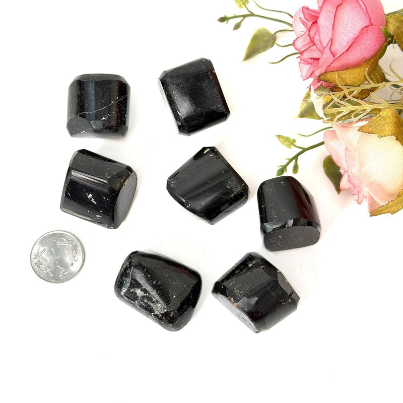 Black Tourmaline Tumble (Grounding and Protection)