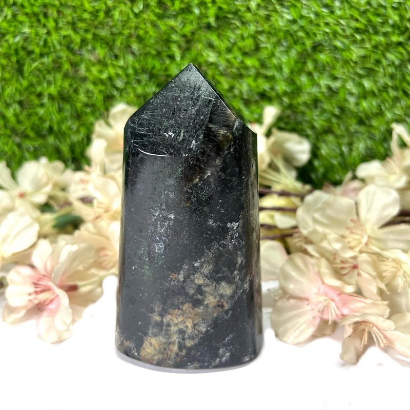 Black Tourmaline Free Forms (Protection and Grounding)