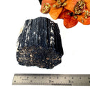 Elite Rough Black Tourmaline Medium Sized (Grounding & Protection)