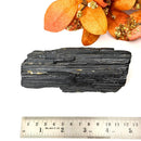 Elite Rough Black Tourmaline Medium Sized (Grounding & Protection)