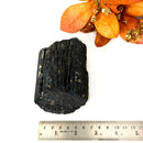 Elite Rough Black Tourmaline Medium Sized (Grounding & Protection)