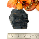Elite Rough Black Tourmaline Medium Sized (Grounding & Protection)