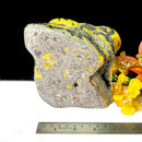 Bumble Bee Jasper Free Forms (Deal with change)