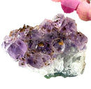 Cacoxenite Amethyst Clusters (Ascension & Meditation)