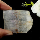 Cacoxenite Slice (Raising Consciousness)