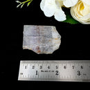 Cacoxenite Slice (Raising Consciousness)