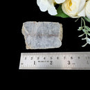 Cacoxenite Slice (Raising Consciousness)